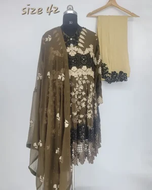Chiffon Mehendi Green Outfit